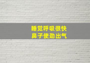 睡觉呼吸很快 鼻子使劲出气